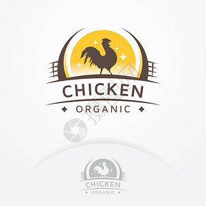 鸡有机标志公鸡徽章徽章或标志设计鸡和鸡蛋图片