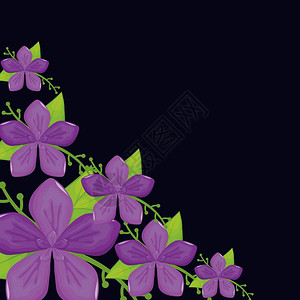 黑色背景矢量图上美丽的热带花卉框架图片