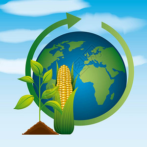 世界种植玉米乙醇天然气能源清洁环境生物图片