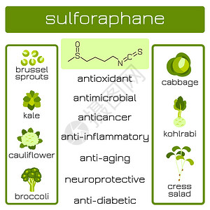 具有抗癌抗菌等功效的植物来源萝卜硫素有机化合物图片