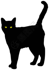黑猫向上看整只黑猫黄眼睛看插画