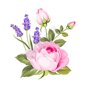 盛开的紫色玫瑰和紫罗兰色薰衣草的春天花朵环带有玫瑰和薰衣草花的图片