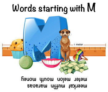 以M开头的英语单词插图图片