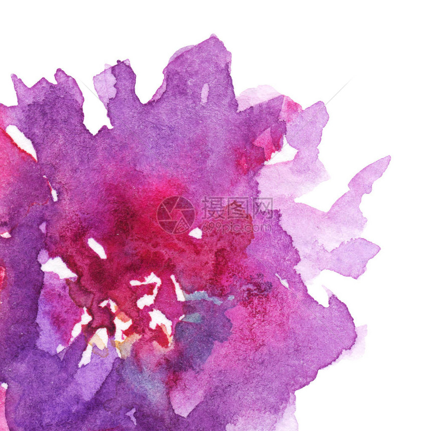 红紫色粉红色花朵岗岩玫瑰康乃馨画插图图片