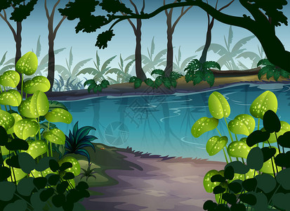 夜间森林场景中的池塘插图图片