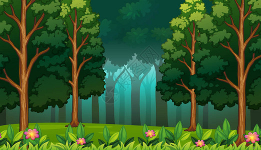 黑暗的雨林与大树景观图背景图片