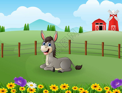 农场绿地的快乐驴卡通画插背景图片