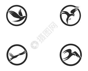 飞鸟标志抽象模背景图片