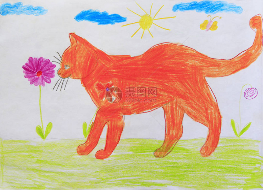 有趣的红猫幼稚的图画沿着夏日花园画的猫幼稚的想象力图片