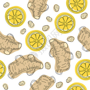 姜根加柠檬手绘加热茶的成分整个和切片姜根与柠图片