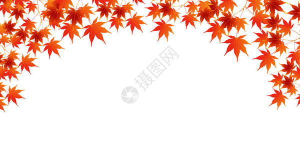 秋叶秋背景图片