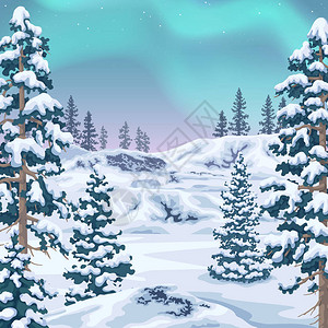 北观与北极光星空极光冬季风景背图片