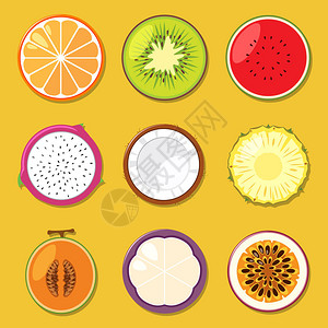 盘子里火龙果一组不同的水果插图插画