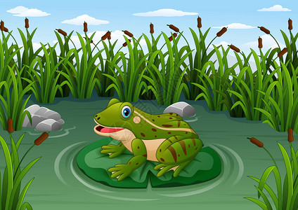 池塘里一片叶子上卡通青蛙的矢量图解图片