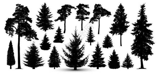 树木森林集矢量松树云杉的剪影背景图片