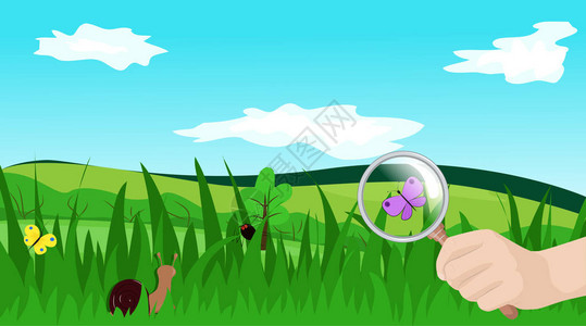 草地中不同的昆虫用放大镜在蝴蝶上手握图片