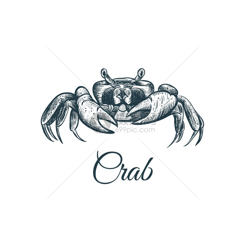 Crab草图手绘画Cra图片
