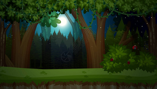 丛林插图中的黑夜图片