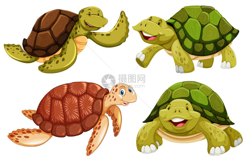 一套海龟插画图片