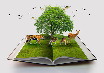 野生动物保护老虎鹿鸟环境自然书隔离在白色打开的书在纸回收3d渲染自然书与草和树生长在图片