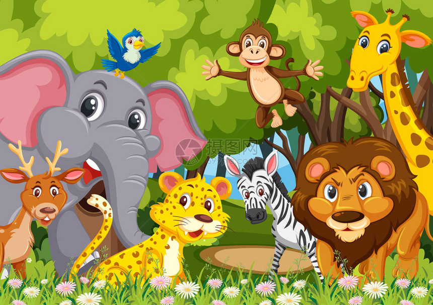 丛林插图中的动物群图片