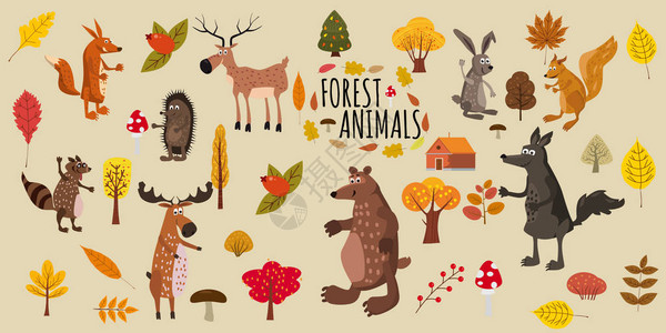 一组可爱的森林动物熊浣熊松鼠野兔狐狸狼刺猬图片