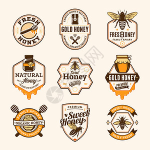 蜂蜜产品养蜂场和养蜂品牌和身份的矢量蜂图片