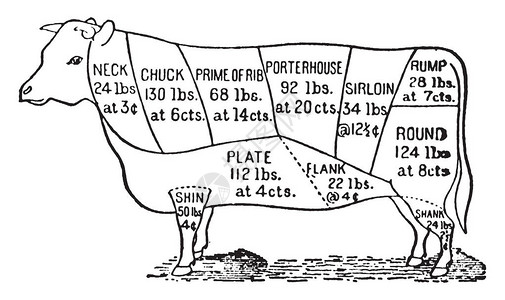 这个插图代表了牛肉古老线条绘制或雕刻图背景图片