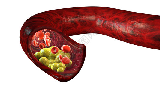 红血细胞背景图片