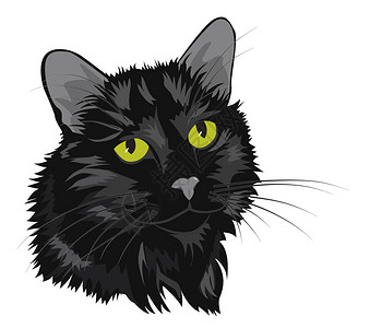 一只绿眼睛的黑猫的画像卡通矢量图图片