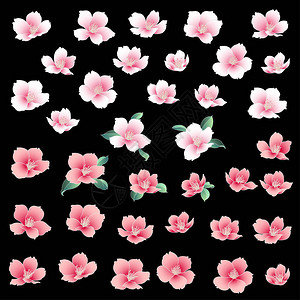 日式樱花插画日式樱花设计图片