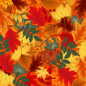 自然多色秋叶图片