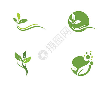 绿树叶生态自然标志图片