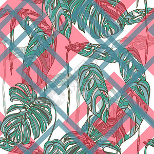 热带树叶以几何形状背景图片
