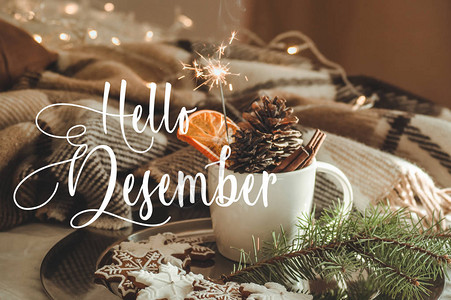 你好十二月带锥体的杯子和带烟火的干橙冷杉树枝圣诞饼干舒适的针织毯图片