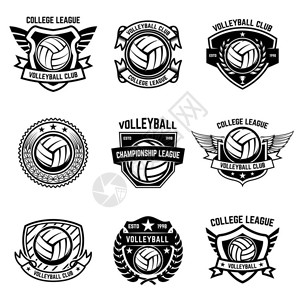 白色背景上的排球标志标志徽章标志徽章的设计图片