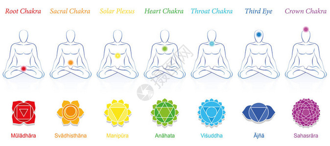 丰太阳穴一个冥想的人脉轮带有梵文名称和适当颜色的符号白色背景上的插画