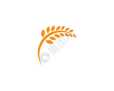 农业小麦Logo模版图片