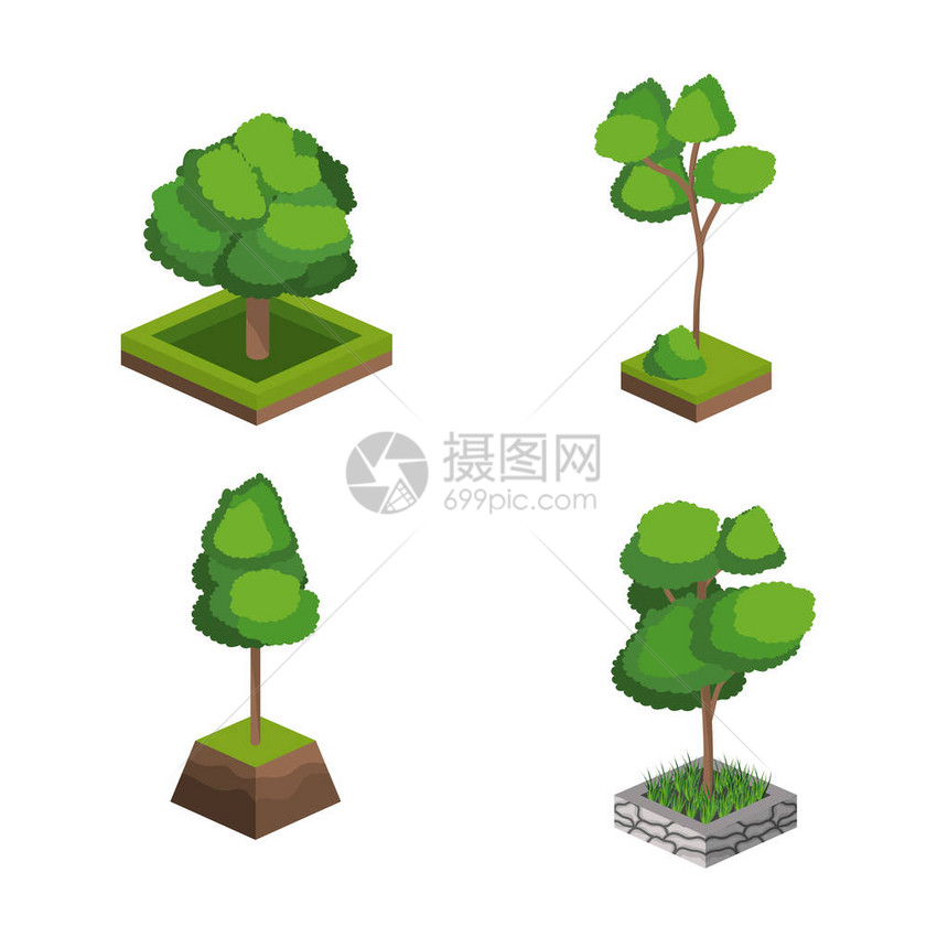 植物质和植物植物主题的几色树孤立设图片
