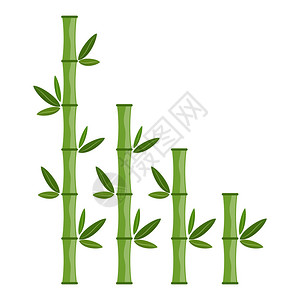 绿竹枝和叶子矢量插图竹背景图片