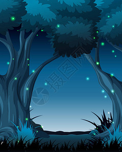 黑暗的夜晚森林场景图图片