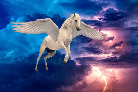 飞马长着翅膀的传说中的白马展翅飞翔背景图片