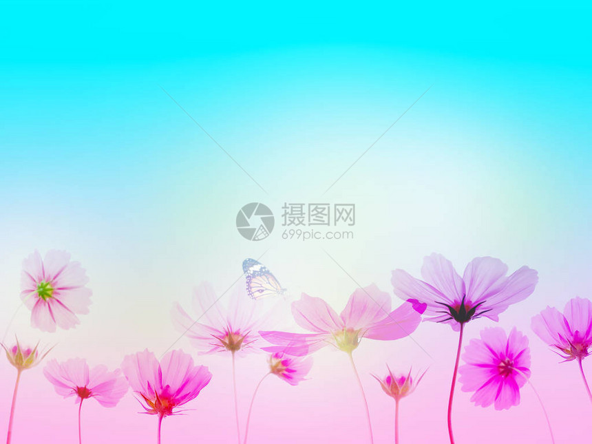 Floral抽象的壁画背景图片