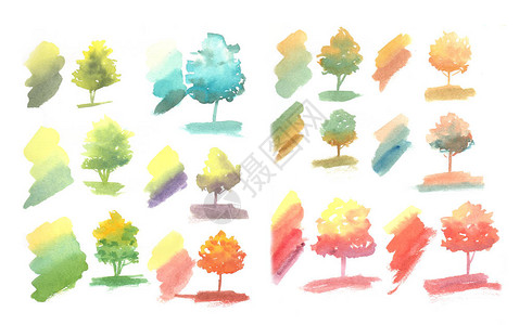 树在多种颜色的pantone和多种形状的品种季节手绘水彩植物的春秋图片