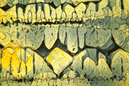 在显微镜和偏振光下对称生长的铁氰化钾晶体图片