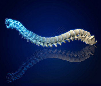 大医精诚医学上3D插图显示带有垂直盘的人类设计图片