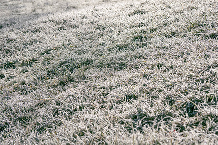 草地上的霜冬天寒冷的抽象自然背景图片