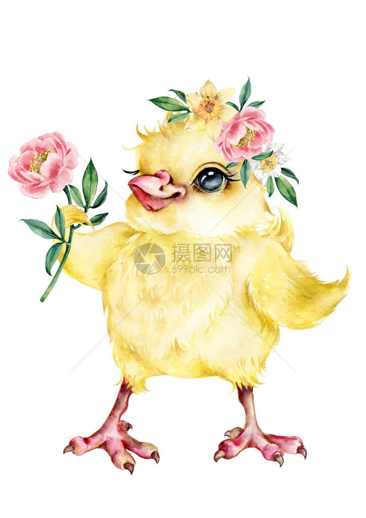 一只带花的小鸡的可爱插图春天的花朵环复活节插图图片