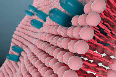 糖脂细胞膜和生物学生物概念3D成像计设计图片
