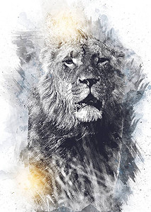 狮子艺术插图绘垃圾复古图片